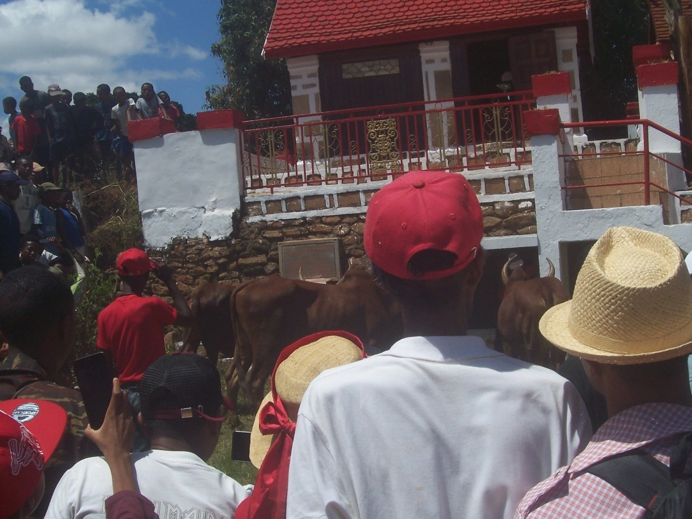 devant le Tranomanara